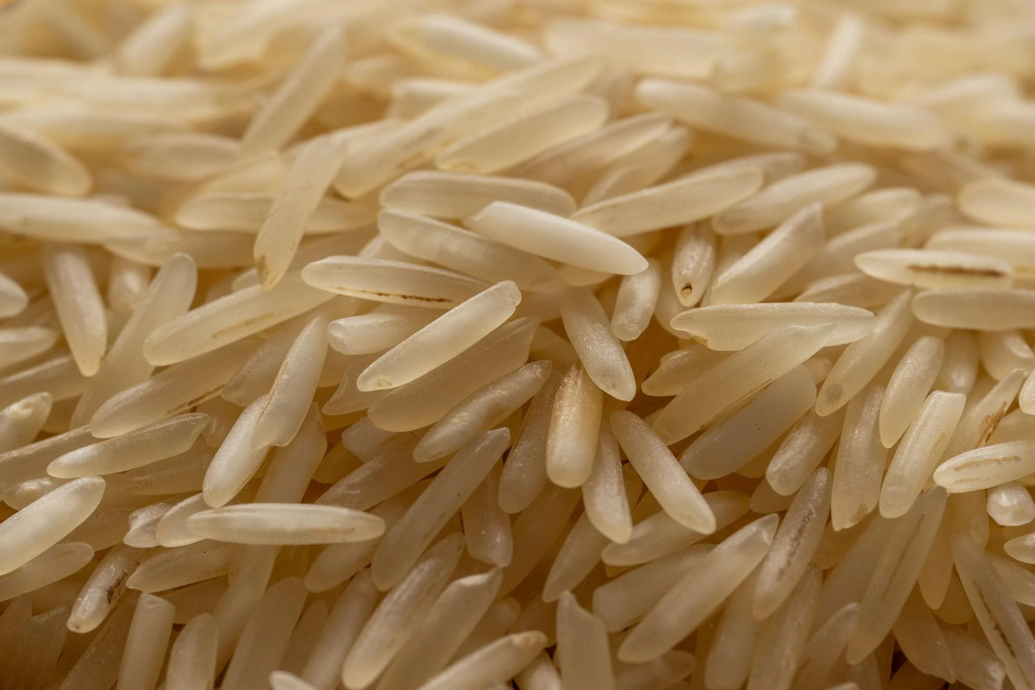Premium Basmati Rice – Export Quality Long Grain Rice