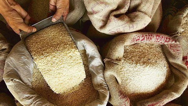 Non Basmati Rice – High Quality Bulk Export Rice from India